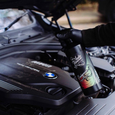  ERADICATE - Vệ sinh khoang động cơ Auto Finesse