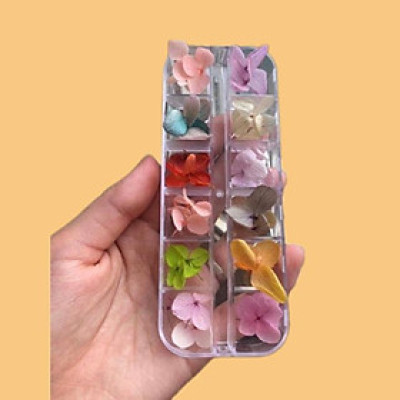 Hoa Khô Cánh To Trang Trí Móng, Nhiều Màu Sắc Độc Đáo, Thiết Kế Tinh Tế, Phụ Kiện Không Thể Thiếu Cho Làm Nail Phương Miu Nữ Women Vẽ Nail