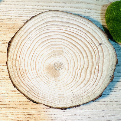 Tranh Vẽ Tay Trên Gỗ Thông Today I Choose Joy Decor Trang Trí Độc Bản Handmade