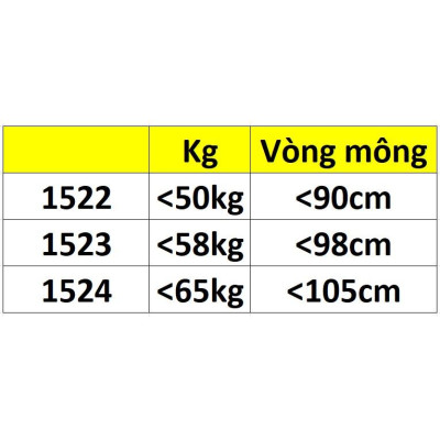 COMBO 5 QUẦN LÓT NỮ SU THÔNG HƠI 1523