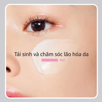 Set Mặt Nạ Ngủ Belif Super Knights Discovery Mask Kit