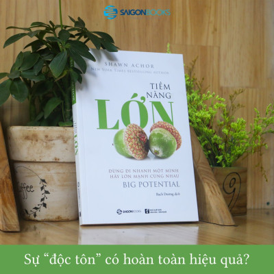 Tiềm năng lớn - Đừng đi nhanh một mình, hãy lớn mạnh cùng nhau (Big Potential) - Tác giả: Shawn Achor