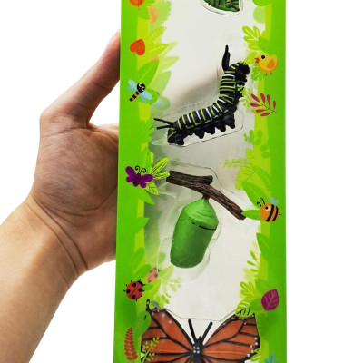 Đồ Chơi Mô Hình Vòng Đời Tự Nhiên - Bướm Lớn Lên Như Thế Nào? - Firstar DK81253