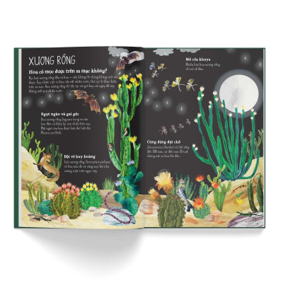 A Lê Hấp! Thế Giới Hoa