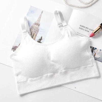 Áo Lót Nữ Bra Gân Tăm 1811 – Không Gọng, Co Giãn 4 Chiều, Có Mút Tháo Rời