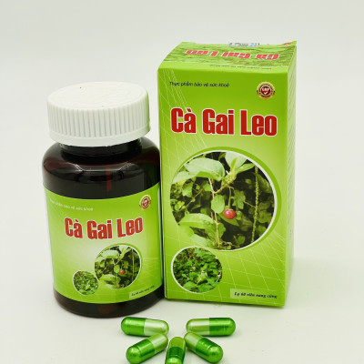 Cà gai leo - Năng Động - giải độc gan, giảm mề day, vàng da