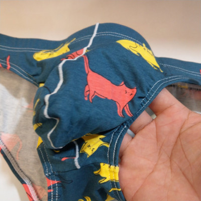 Quần lót tam giác Nam trẻ trung thời trang - A094