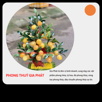 Cây đào phong thuỷ ngọc hoàng long 28 quả|phongthuygiaphat