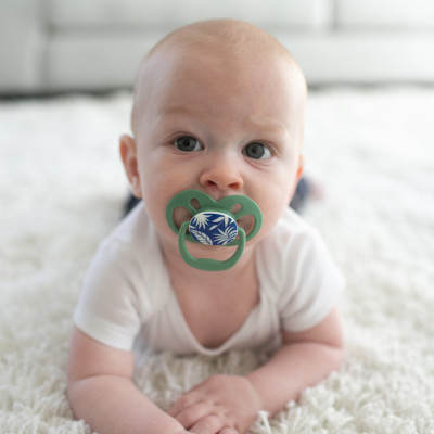 [ PA22004-INTL ] Bộ 2 ty ngậm Dr.Brown