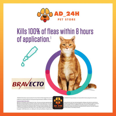 Bravecto for cat nhỏ gáy trị ve rận, bọ chét tận gốc cho mèo