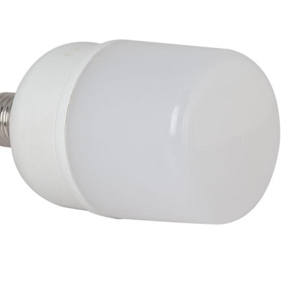 06 Bóng đèn led trụ 10W Rạng Đông, Model LED TR60N2/10w