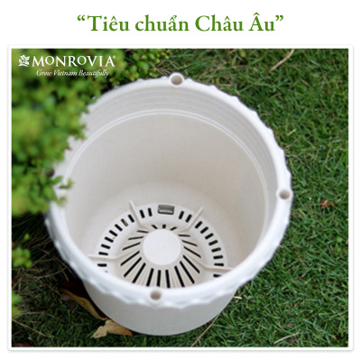 Chậu trồng cây Decor trang trí thương hiệu MONROVIA chuyên cho Hoa, hoa hồng, kèm đĩa lót thông minh, thiết kế tinh tế, tiêu chuẩn Châu Âu