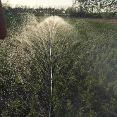 Dây tưới phun mưa phi 34mm- hàng nhập