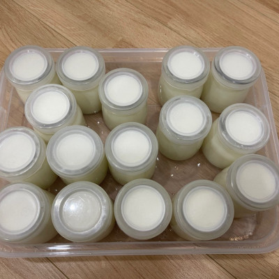 Máy Làm Sữa Chua Hương Vị Truyền Thống Hũ Thủy Tinh, Máy Ủ Sữa Chua Tại Nhà Green Line- Hàng Chính Hãng