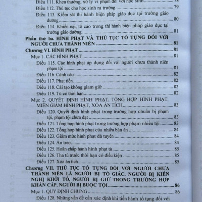 Sách Luật Tư Pháp Người Chưa Thành Niên 2025 – Hệ Thống Các Văn Bản Về Thủ Tục Tố Tụng Hình Sự Đối Với Người Chưa Thành Niên (V2640T)