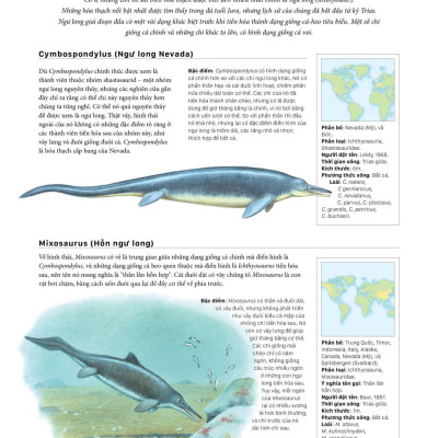 Sách - Bách Khoa Khủng Long Toàn Tập - Bìa Cứng