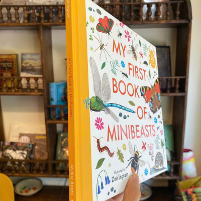 Sách - My First Book of Minibeasts by Zoe Ingram | Children