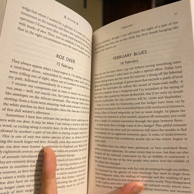 Sách - Wonderland: A Year of Britain