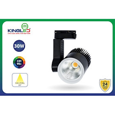 Đèn Led Rọi Ray 30W Beryl (DTL-30SS) KINGLED