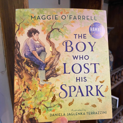 Sách - The Boy Who Lost His Spark by Maggie O