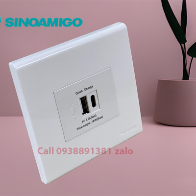 Sinoamigo P21-QC1: Ổ Cắm Sạc USB type  Âm Tường - Tích hợp 1 cổng USB type C, 1 cổng USb type A. Sạc nhanh 18W- Đa Năng và Tiện Lợi