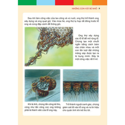 Sách - Những Con Vật Bé Nhỏ - Bìa Cứng - Minh Thắng