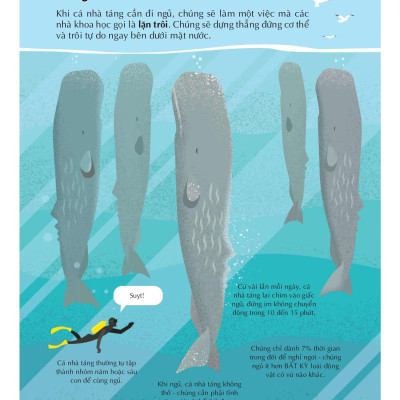 100 Bí Ẩn Đáng Kinh Ngạc Về Các Đại Dương - 100 Things To Know About The Oceans