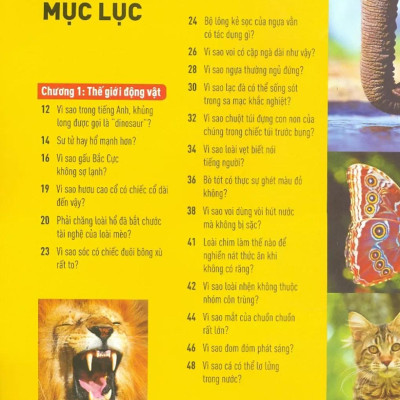 Khoa Học Cho Lứa Tuổi Thiếu Niên - Mười Vạn Câu Hỏi Vì Sao - Sinh Vật Và Môi Trường