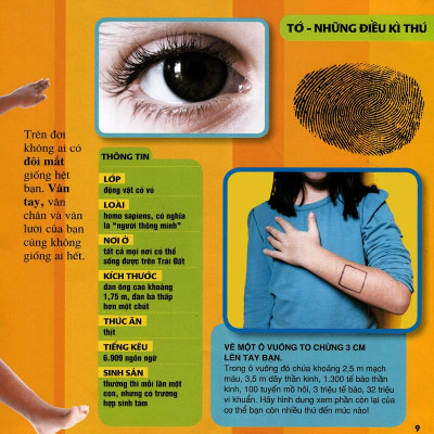 Cuốn Sách Lớn Đầu Tiên Của Tớ - Những Câu Hỏi Tại Sao - Bìa Cứng (Tái Bản 2024)