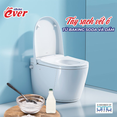 Viên Treo Bồn Cầu Evershine 54GR Hương Lavender