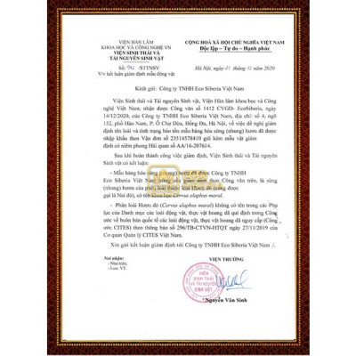 Cao ban long Siberia "Chính Hãng" – Hỗ trợ vô sinh, hiếm muộn, bổ sung sắt, canxi cho mẹ và bé, giúp an thai, dạng cao đặc 100gram, chuẩn GMP