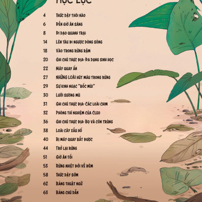 24 Giờ Trong Rừng Nhiệt Đới