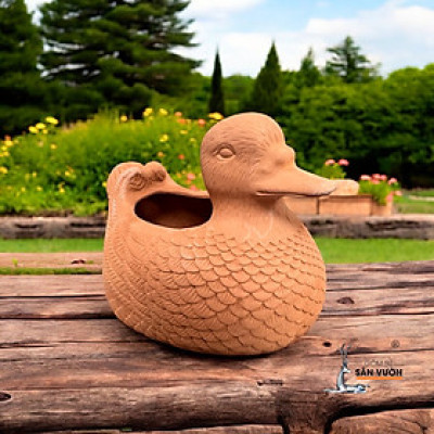 Chậu Gốm Đất Nung Hình Con Vịt Ducky