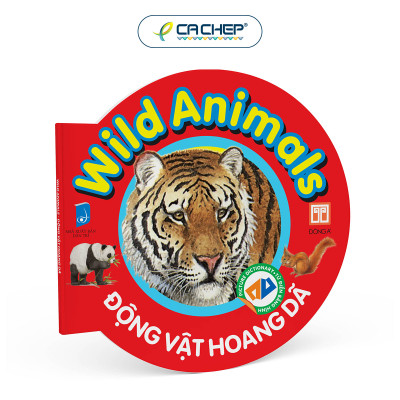 Bộ Từ điển bằng hình cho bé (Song ngữ Anh - Việt) - Bộ mới 2023