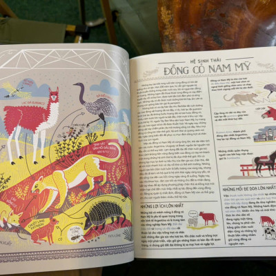 (Bìa cứng, In màu) SỰ VẬN HÀNH KỲ DIỆU CỦA TRÁI ĐẤT - Hiểu Về Thế Giới Của Chúng Ta Và Các Hệ Sinh Thái - Rachel Ignotofsky - Mai Ngọc Tú dịch - Crabit Kidbooks