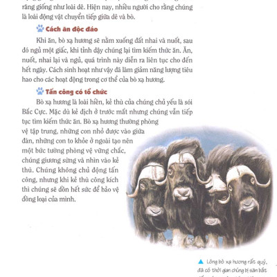 Khám Phá Bí Ẩn Thế Giới Tự Nhiên Dành Cho Học Sinh : Động Vật _ML