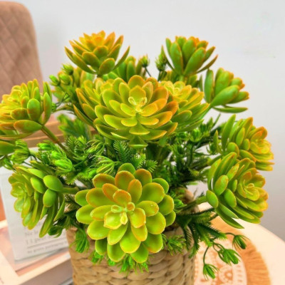 Chậu cây trang trí để bàn kèm giỏ y hình các loại - Cao 35cm đến 48cm - Cây giả, hoa lụa Decor trang trí nhà cửa.