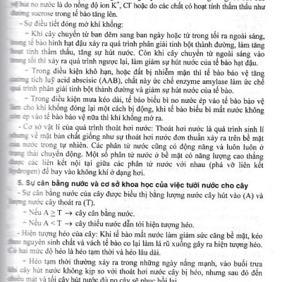 Bồi dưỡng học sinh giỏi Sinh học 11 (Dùng chung cho các bộ SGK) (Tái bản 2023) - Bìa mới