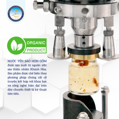 [Combo 12 Hũ] Tổ Yến Sào Chưng Đường Phèn - Yến Sào Hòn Gốm Chính Hiệu Khánh Hoà - HGK NEST 