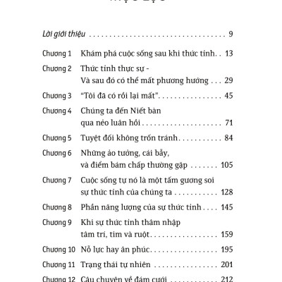 Hành Trình Giác Ngộ - Adyashanti