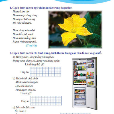 Sách - Vở Bài Tập Nâng Cao Từ Và Câu Lớp 3 ( Theo Chương Trình GDPT mới ) - Kết Nối - Ndbooks