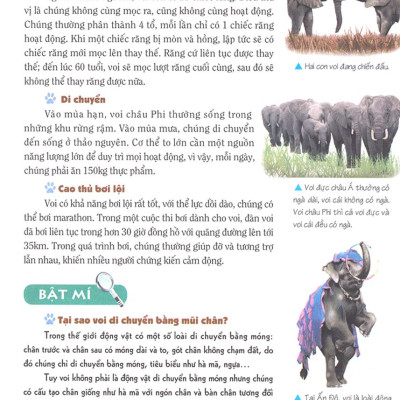 Khám Phá Bí Ẩn Thế Giới Tự Nhiên Dành Cho Học Sinh : Động Vật _ML