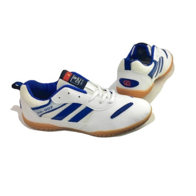 Giày Cầu Lông, Giày Bóng Chuyền Bóng Bàn