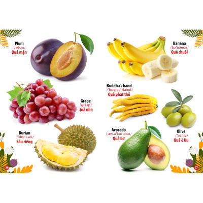 Trọn Bộ Từ Điển - Thư Viện Hình Ảnh Song Ngữ Đầu Tiên Của Bé ( Lẻ tự Chọn - Đa Dạng Chủ Đề) Côn Trùng Và bò sát, Hoa - Rau củ - Quả, Loài chim, Thế Giới Khủng Long , Phương Tiện Giao Thông, Thế Giới Động Vật, Chữ Cái Và Số Đếm,