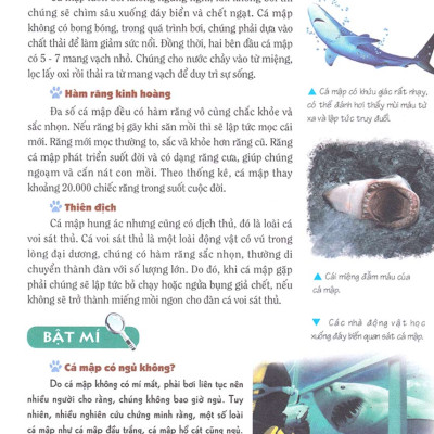 Khám Phá Bí Ẩn Thế Giới Tự Nhiên Dành Cho Học Sinh : Động Vật _ML