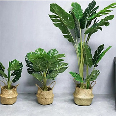 Cây lá rùa xẻ giả - Size 130cm - 3 nhánh - Cây giả, hoa lụa Decor trang trí nhà cửa