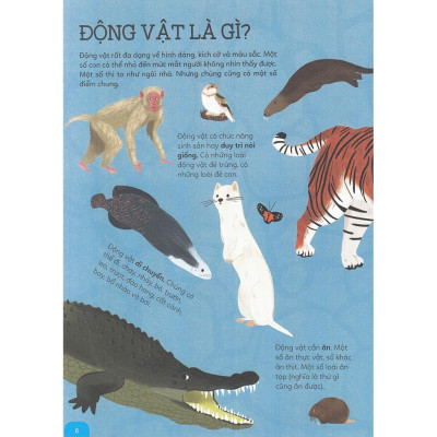 Khám phá rừng già động vật hoang dã - Bản Quyền