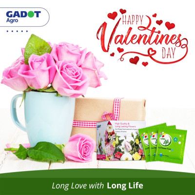 NƯỚC CẮM HOA HỒNG LÂU TÀN (1 LÍT TOG) nhập khẩu ISAREL dành cho Nhà Vườn Trồng Hoa Grower bảo quản hoa