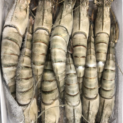 Tôm sú nguyên con sinh thái Seaprodex kích cỡ 10 con/hộp, 500gr