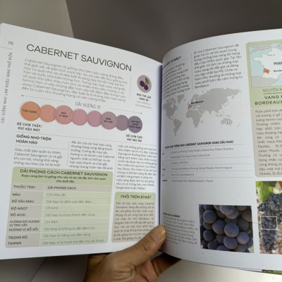 (bìa cứng in màu toàn bộ) THƯỞNG THỨC RƯỢU VANG NHƯ MỘT CHUYÊN GIA - Marnie Old - Nhã Nam